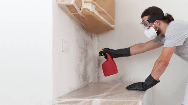 Professional Mold Remediation technician working in Lowell, MI