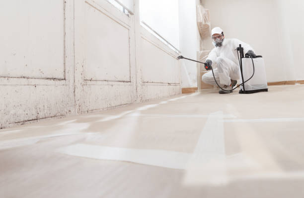 24/7 Emergency Mold Remediation experts in Lowell, MI